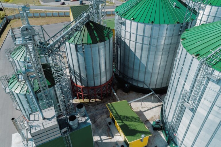 Désinsectisation grains et semences